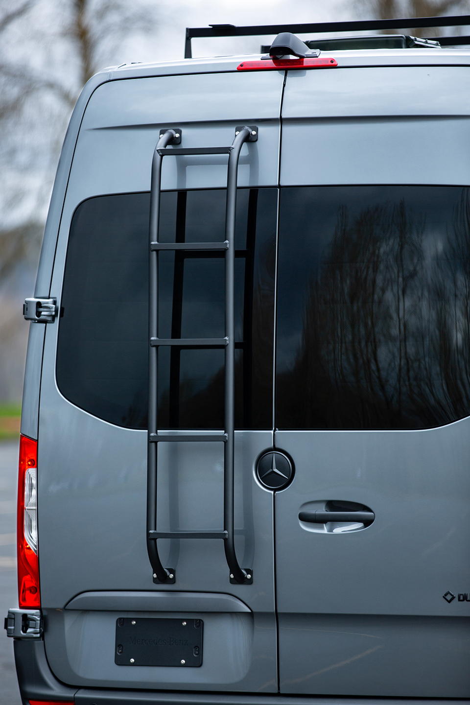 van rear door ladder 2019